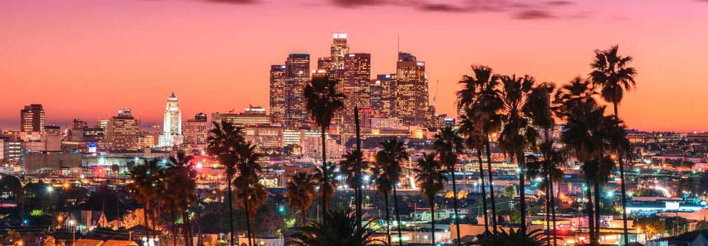 Plan an Epic Los Angeles Bachelor Party (2021 Guide)