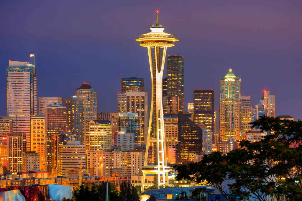 Planning an Epic Bachelor Party in Seattle